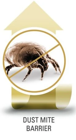 Alèse GERDA 90x200x35 Blanc 9 Alèse GERDA 90x200x35 Blanc -Royal Oak || DODO || Basic Soldes Magasin 113151