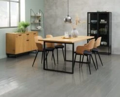 Vitrine VIRUM 2 Portes Noir -Royal Oak || DODO || Basic Soldes Magasin 128765