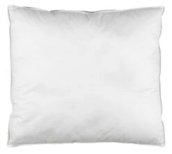 Oreiller 900g NOTODDEN 60x63/70x3