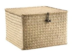 Boîte De Rangement ALVIN L26xL26xH17cm Herbier Marin