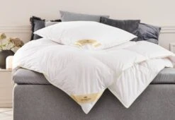 Couette 1350g KR. GEITTINDEN Chaude 240x220 -Royal Oak || DODO || Basic Soldes Magasin 163739