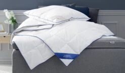 Oreiller 800g GALDEBERGET Medium 60x63/70 8 Oreiller 800g GALDEBERGET Medium 60x63/70 -Royal Oak || DODO || Basic Soldes Magasin 172340