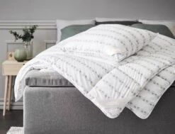 Oreiller 700g TRONFJELLET 60x63/70 12 Oreiller 700g TRONFJELLET 60x63/70 -Royal Oak || DODO || Basic Soldes Magasin 175983