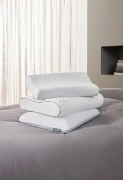 Oreiller WELLPUR VOSS Blanc 30x50x10/7 -Royal Oak || DODO || Basic Soldes Magasin 185114