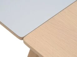 Table EGEBJERG 160/250 Gris Clair -Royal Oak || DODO || Basic Soldes Magasin 185691