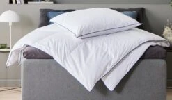 Oreiller 800g GALDEBERGET Medium 60x63/70 10 Oreiller 800g GALDEBERGET Medium 60x63/70 -Royal Oak || DODO || Basic Soldes Magasin 188078