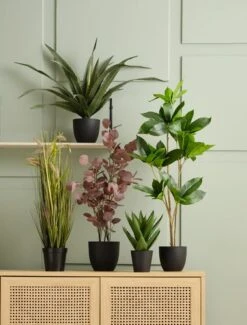 Plante Artificielle TRISTAN H90cm 9 Plante Artificielle TRISTAN H90cm -Royal Oak || DODO || Basic Soldes Magasin 188247