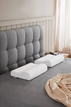 Oreiller WELLPUR KVINA Blanc 30x50x10/7 -Royal Oak || DODO || Basic Soldes Magasin 202754