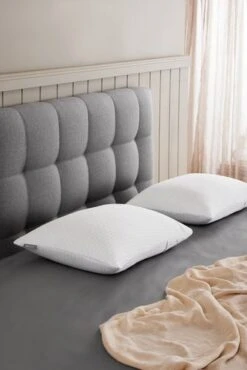 Oreiller WELLPUR STRYN 42x65x15 -Royal Oak || DODO || Basic Soldes Magasin 202755