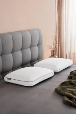 Oreiller WELLPUR VARDO 40x60x13 -Royal Oak || DODO || Basic Soldes Magasin 202756