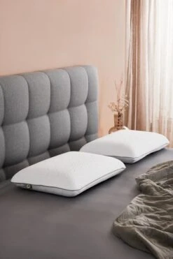 Oreiller WELLPUR VONGSEN 40x60x13 -Royal Oak || DODO || Basic Soldes Magasin 202758