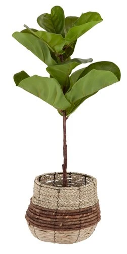 Plante Artificielle KELD Ø40xH85cm 2 Plante Artificielle KELD Ø40xH85cm – Image 2
