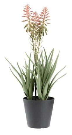 Plante Artificielle RASMUS H45cm A/fleurs