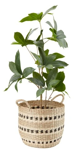 Plante Artificielle TRISTAN H90cm 6 Plante Artificielle TRISTAN H90cm – Image 6
