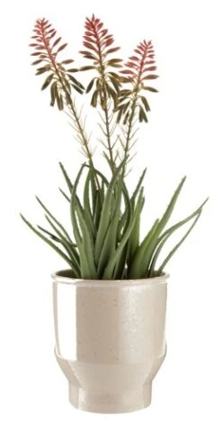 Plante Artificielle RASMUS H45cm A/fleurs -Royal Oak || DODO || Basic Soldes Magasin 205022