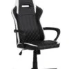 Chaise Gaming LERBJERG Noir/blanc