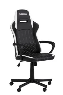 Chaise Gaming LERBJERG Noir/blanc