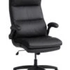 Chaise De Bureau Professionnelle KASTBJERG Noir