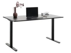Bureau STAUNING 80x160 Noir -Royal Oak || DODO || Basic Soldes Magasin 218363